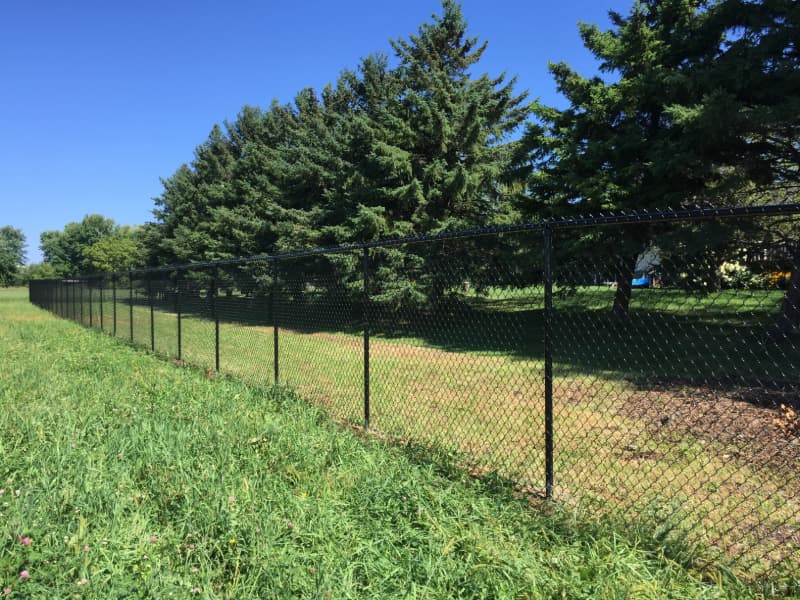 new black chain link fence for dog kennel