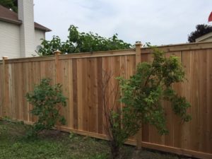 wood fence with plants in front of it