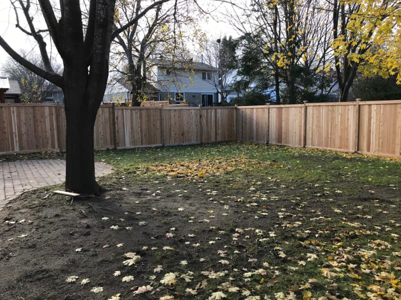 wooden fence with tree in the middle
