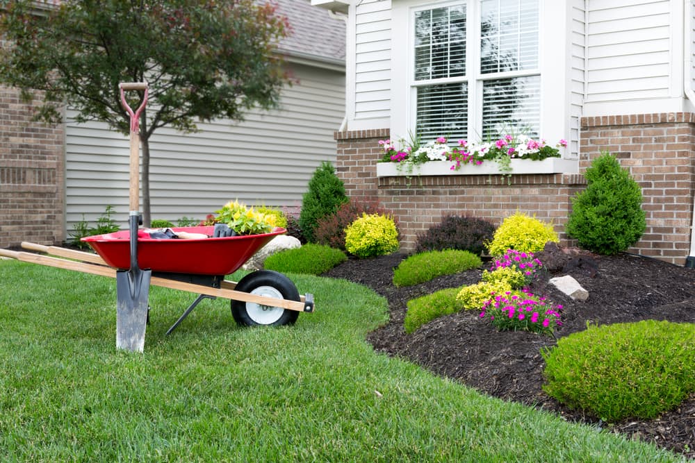 8 Reasons to Start Planning Your Spring Landscape Now