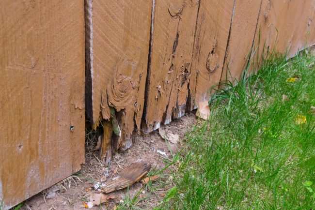 5 Signs Your Fence Needs Repairs