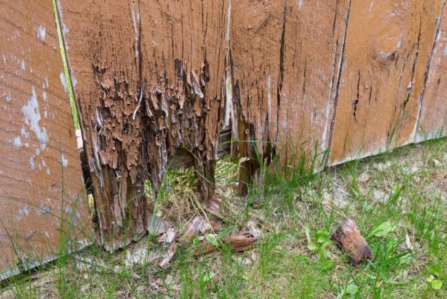 Copy of 3 Signs Your Fence was Damaged Over the Winter
